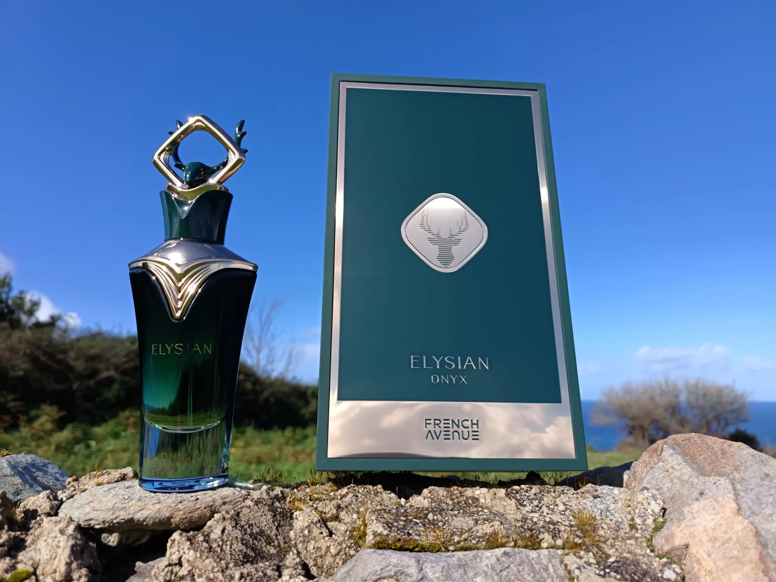 FRENCH AVENUE-Elysian Onyx 80ml Eau De Parfum Para Hombres Lanzamiento Exclusivo - Imagen 6